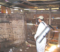Health workers sparying insecticide on the walls of a wood and adobe dwelling
