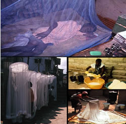 Composite picture: insecticide-treated bed nets on sale; being retreated; and person sleeping under net. 