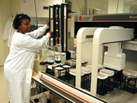 Keisha uses the Biomek FX robot to purify the plasmid DNA, which contains the gene of interest for research.