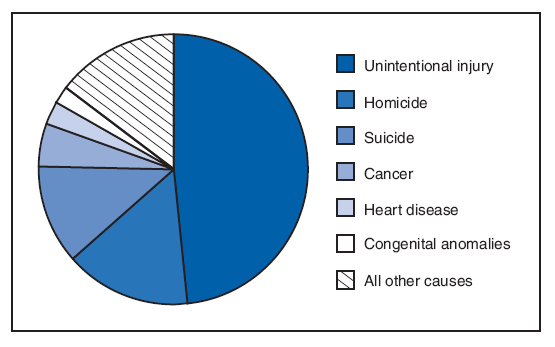 In 2005, a total of 13,073 deaths occurred among teens aged 15–19 years. The leading cause of death in this age group was unintentional injury, accounting for 48.3% of the deaths. Homicide accounted for 15.1% of the deaths and suicide for 11.8%, followed by cancer (5.3%), heart disease (2.8%), and congenital anomalies (1.8%).