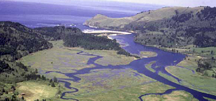 Salmon River Estuary