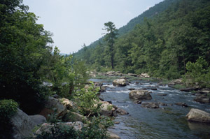 scenic river
