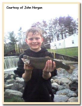 2009 Trout Stocking Schedule Available