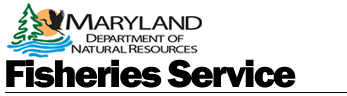 Welcome to the Maryland Department of Natrual Resources Fisheries Service