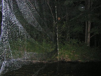 Photo of a triple-high bat net.