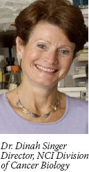 Dr. Dinah Singer, Director, NCI Division of Cancer Biology