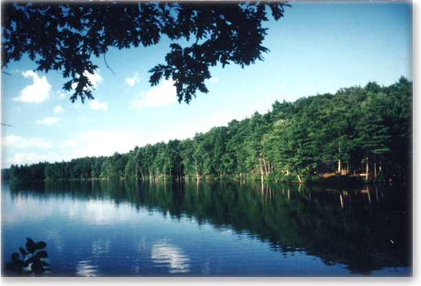 The mirror-like surface of Buffumville Lake reflects the surrounding trees along the lakeshore and the overhead clouds.