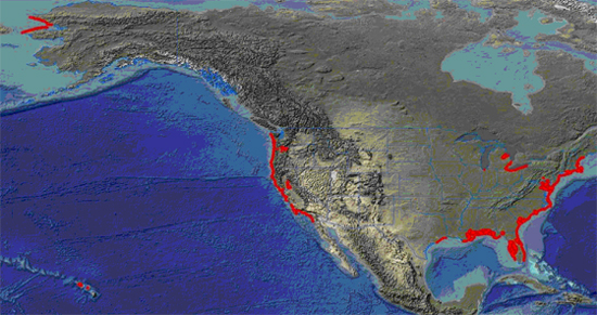 U.S. LIDAR and IfSAR coverage to date