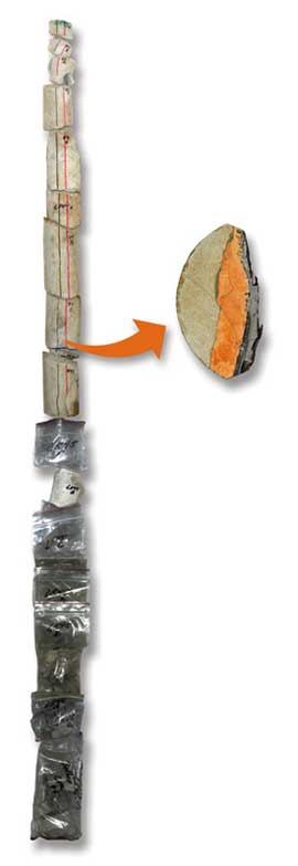 Photo of a core sample from a plugged well bore.