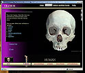 montage of images of UTCT Facility, views of human skull specimen, eSkeletons screen captures