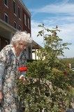 Photo of woman smelling roses - Click to enlarge in new window.