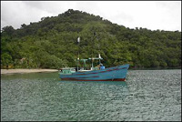 Illegal Fishing Boats