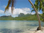 a beach in the carribean.