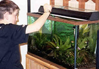 A  boy and a fish tank
