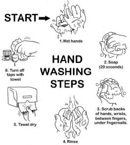 6 steps to washing your hands