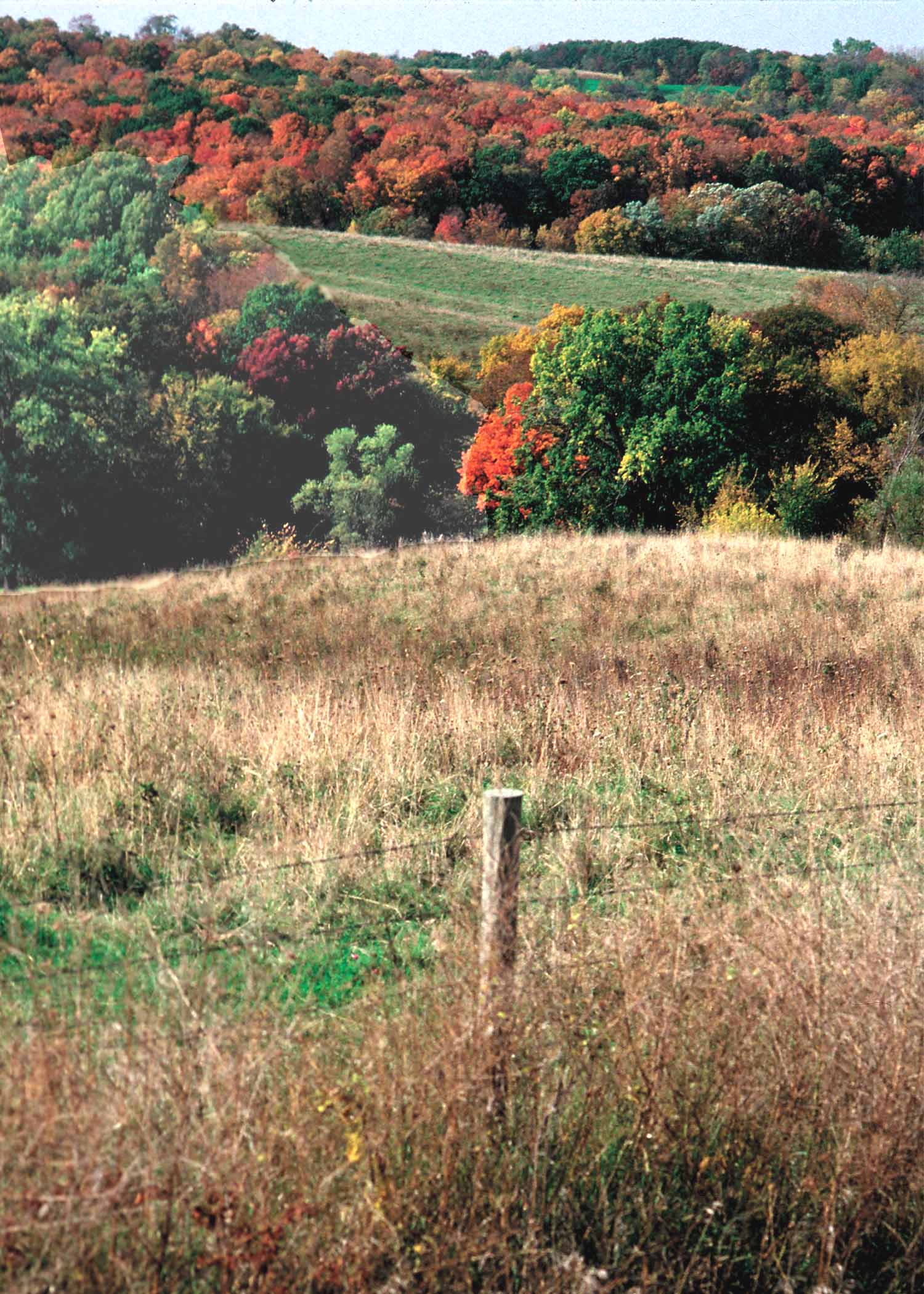 Healthy forest land in Iowa. The Healthy Forests Reserve Program provides a bounty of environmental, public health, and economic benefits for people, ecosystems, and communities. The public has an opportunity to comment on the latest proposed rule for this important program. The comment period closes on or before February 13, 2009.