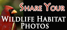 Share Your Wildlife Habitat Photos