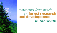 StrategicFramework Logo