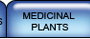 link to Medicinal Plants pages