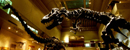 Sala de dinosaurios