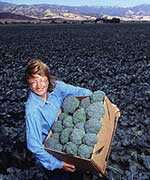 Woman holding box of broccoli in a field