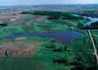 Bird View of Watershed