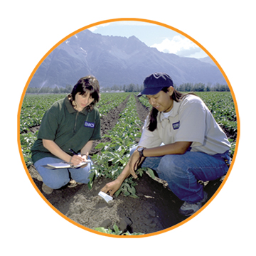 NRCS employees examining soils on crop rows