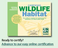 Certify online today