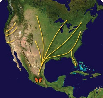 Migration map