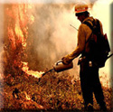 Firefighter igniting a fire with a hand held torch.