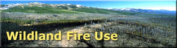 Wildland Fire Use header, photo of a geographic area where fire was allowed to play its natural role 