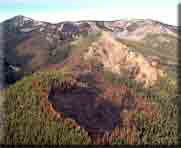 Photo of a geographic area where Wildland Fire was allowed to play its natural role.