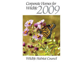 2009 Calendar Cover for home page