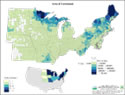 [image:] Forest cover map of teh Norteast from FIDO