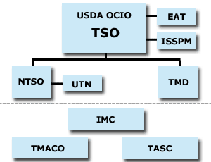 TSO Organizational Chart