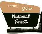 [Photo]: National Forest entrance sign.