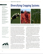 Diversifying Cropping Systems cover image