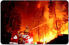 Reducing the accumulation of hazardous fuels helps to reduce the threat of catastrophic wildfire.