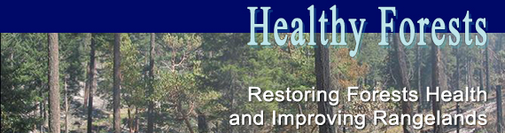 Healthy Forests - Restoring Forests Health and Improving Rangelands