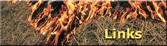 Links header, photo of burning pine needles