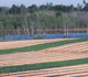 A field displaying strip-cropping erosion control techniques next to a water body