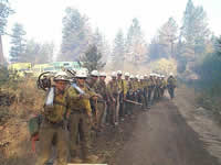 Picture of firemen standing in line along a roadway.