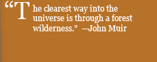 “The clearest way into the universe is through a forest wilderness.” —John Muir