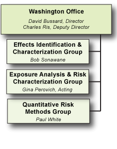 NCEA Washington Organization Chart