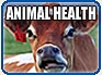 Animal Health Branch, CDFA Division of Animal Health & Food Safety Services