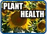 Plant Health & Pest Prevention Services