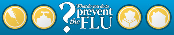 What do you do to prevent the flu?