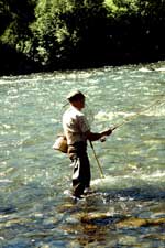 [image] A picture of a man fishing in a river.