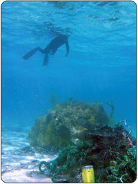 Marine debris littering coastlines and deep water areas ranges from empty soda cans and small plastic objects to derelict fishing gear and abandoned vessels. 