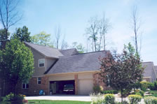 [photo:] House in suburban Detroit with dead ash in background, ash death is attributed to emerald ash borer.